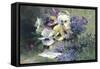 Pansies and Forget-Me-Not-Albert Tibulle de Furcy Lavault-Framed Stretched Canvas