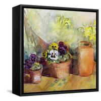 Pansies and Terracotta Pots-Karen Armitage-Framed Stretched Canvas