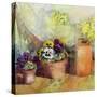 Pansies and Terracotta Pots-Karen Armitage-Stretched Canvas