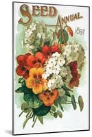 Pansies and White Flowers-null-Mounted Giclee Print