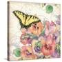 Pansies & Butterflies-Julie Paton-Stretched Canvas