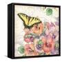 Pansies & Butterflies-Julie Paton-Framed Stretched Canvas