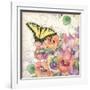 Pansies & Butterflies-Julie Paton-Framed Art Print