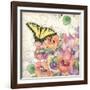 Pansies & Butterflies-Julie Paton-Framed Art Print