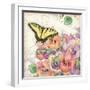 Pansies & Butterflies-Julie Paton-Framed Art Print