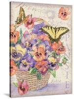 Pansies Folio-Julie Paton-Stretched Canvas