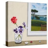 Pansies, Geraniums and Buttons-Sophie Harding-Stretched Canvas