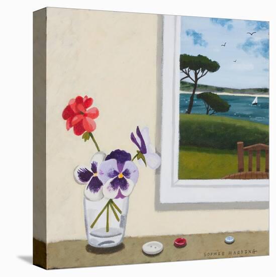 Pansies, Geraniums and Buttons-Sophie Harding-Stretched Canvas