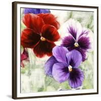 Pansies I-Jenny Thomlinson-Framed Art Print