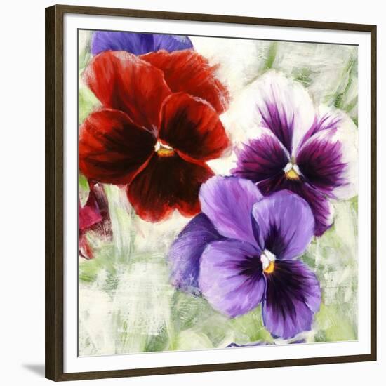 Pansies I-Jenny Thomlinson-Framed Art Print