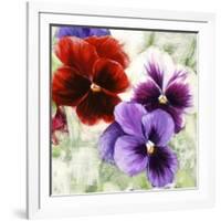 Pansies I-Jenny Thomlinson-Framed Art Print