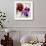 Pansies I-Jenny Thomlinson-Framed Art Print displayed on a wall