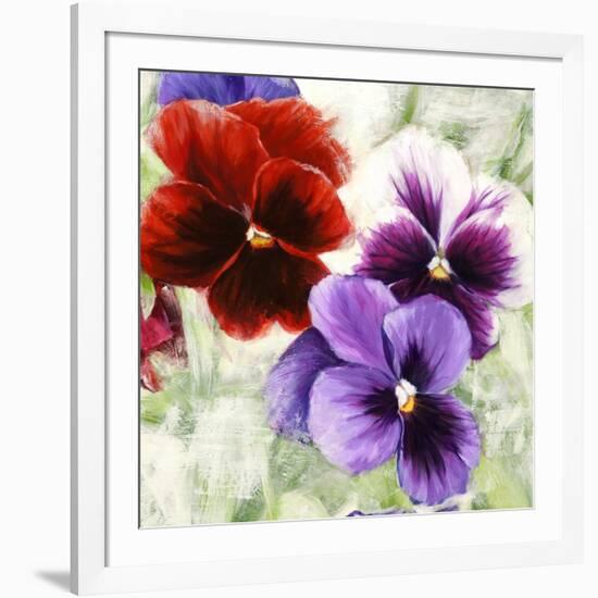 Pansies I-Jenny Thomlinson-Framed Art Print