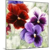 Pansies I-Jenny Thomlinson-Mounted Art Print