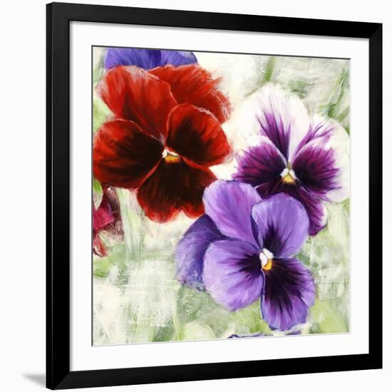 Pansies I-Jenny Thomlinson-Framed Art Print