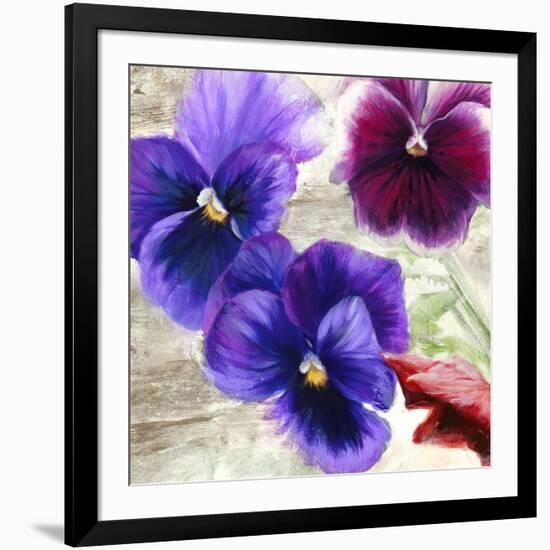 Pansies II-Jenny Thomlinson-Framed Art Print