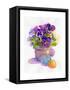 Pansies with Easter Eggs, 2014-John Keeling-Framed Stretched Canvas