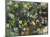 Pansies-Lilia Orlova Holmes-Mounted Giclee Print