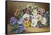 Pansies-Thomas Frederick Collier-Framed Stretched Canvas