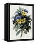 Pansies-Pierre-Joseph Redouté-Framed Stretched Canvas