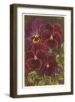 Pansies-null-Framed Art Print