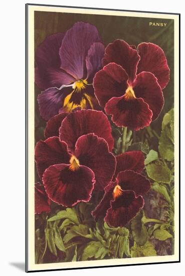 Pansies-null-Mounted Art Print