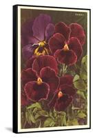 Pansies-null-Framed Stretched Canvas