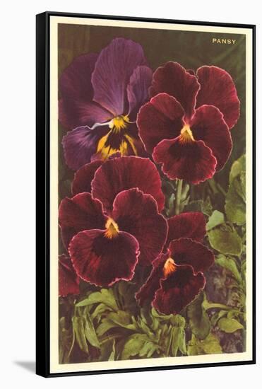 Pansies-null-Framed Stretched Canvas