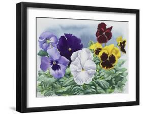 Pansies-Christopher Ryland-Framed Giclee Print