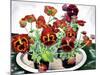 Pansies-Christopher Ryland-Mounted Giclee Print