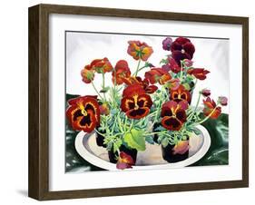 Pansies-Christopher Ryland-Framed Giclee Print