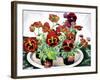 Pansies-Christopher Ryland-Framed Giclee Print