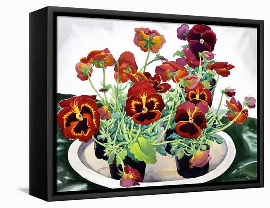 Pansies-Christopher Ryland-Framed Stretched Canvas