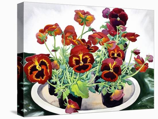 Pansies-Christopher Ryland-Stretched Canvas