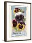 Pansies-null-Framed Art Print