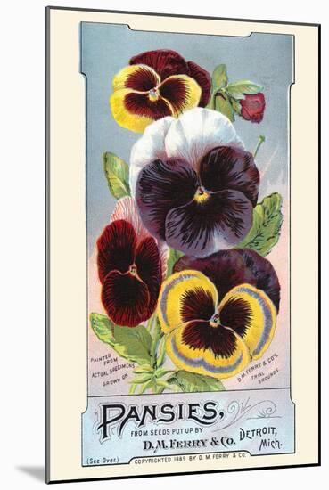 Pansies-null-Mounted Art Print