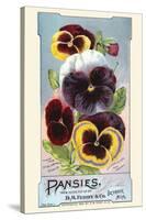 Pansies-null-Stretched Canvas