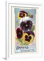 Pansies-null-Framed Art Print