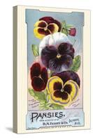 Pansies-null-Stretched Canvas