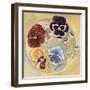 Pansies-Judy Mastrangelo-Framed Giclee Print