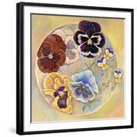 Pansies-Judy Mastrangelo-Framed Giclee Print