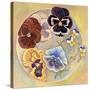 Pansies-Judy Mastrangelo-Stretched Canvas