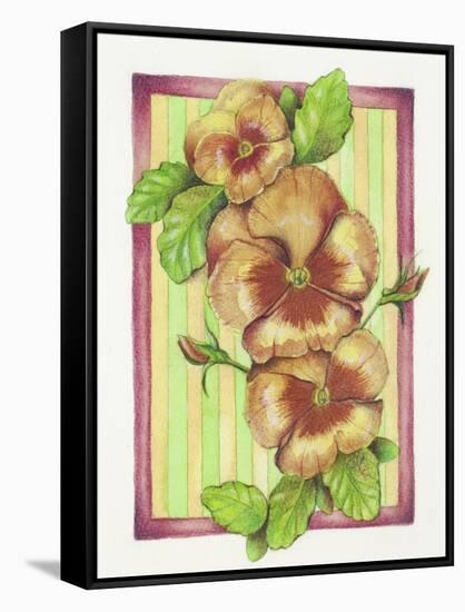 Pansies-Deborah Kopka-Framed Stretched Canvas