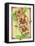 Pansies-Deborah Kopka-Framed Stretched Canvas