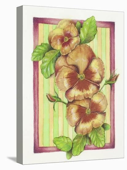 Pansies-Deborah Kopka-Stretched Canvas