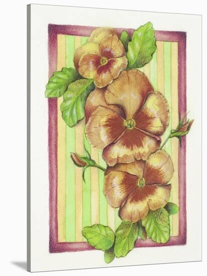 Pansies-Deborah Kopka-Stretched Canvas