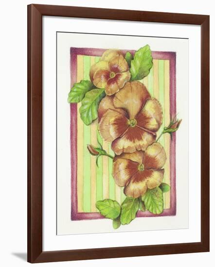 Pansies-Deborah Kopka-Framed Giclee Print