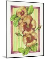 Pansies-Deborah Kopka-Mounted Giclee Print