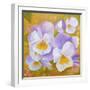 Pansies-Angeles M Pomata-Framed Giclee Print