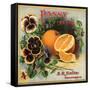 Pansy Brand - California - Citrus Crate Label-Lantern Press-Framed Stretched Canvas